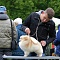 Чикаго Для Артсимпатии С Берендеевой Слободы "Чикаго"